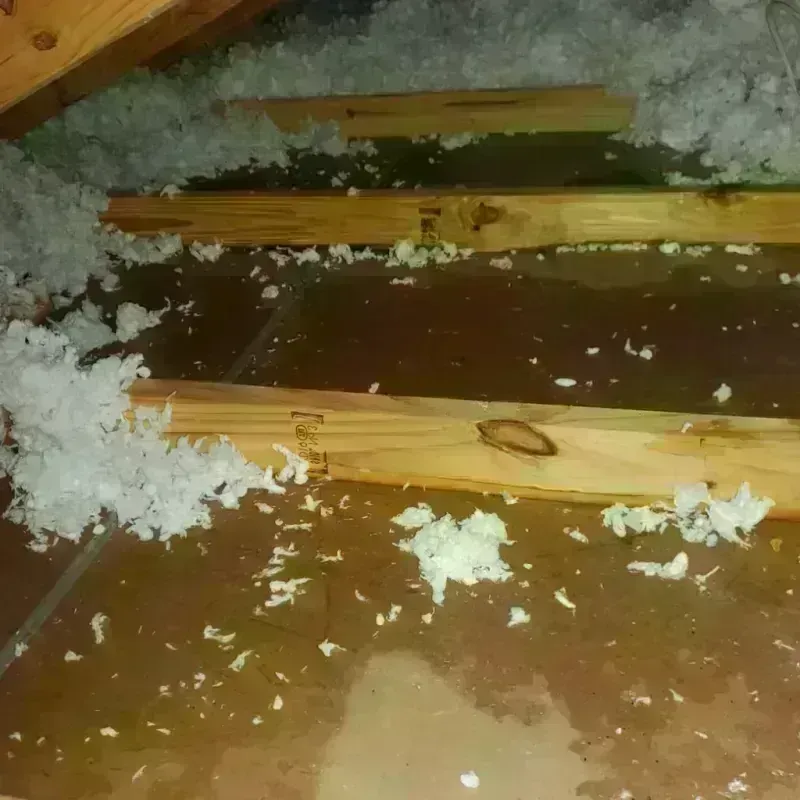 Attic Water Damage in Throop, PA